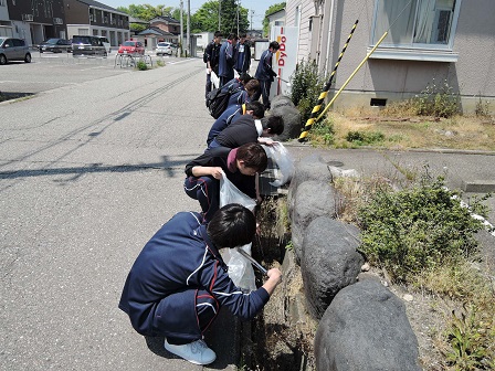 http://www.gisen-toyama.ac.jp/normal/diary/2019/05/14/images/20190510a.jpg